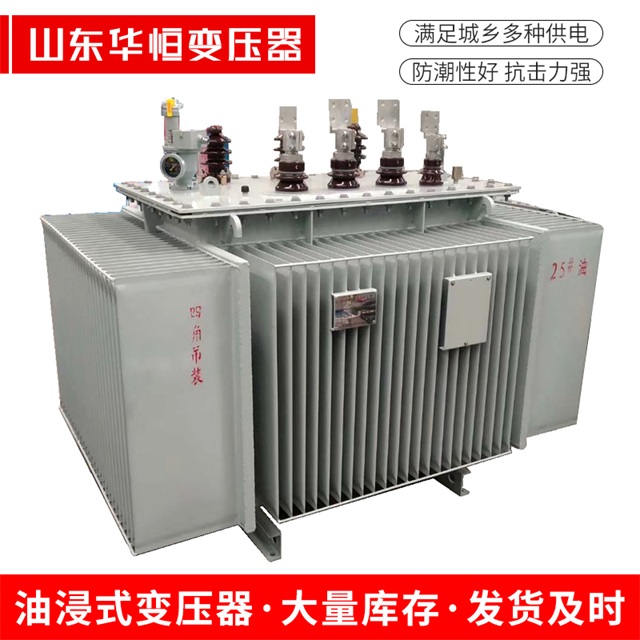 S13-10000/35阳明阳明阳明电力变压器厂家