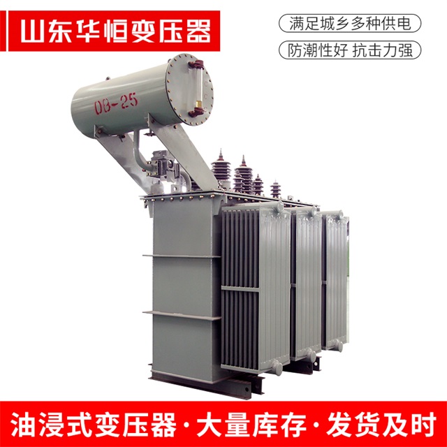 S11-10000/35阳明阳明阳明电力变压器厂家