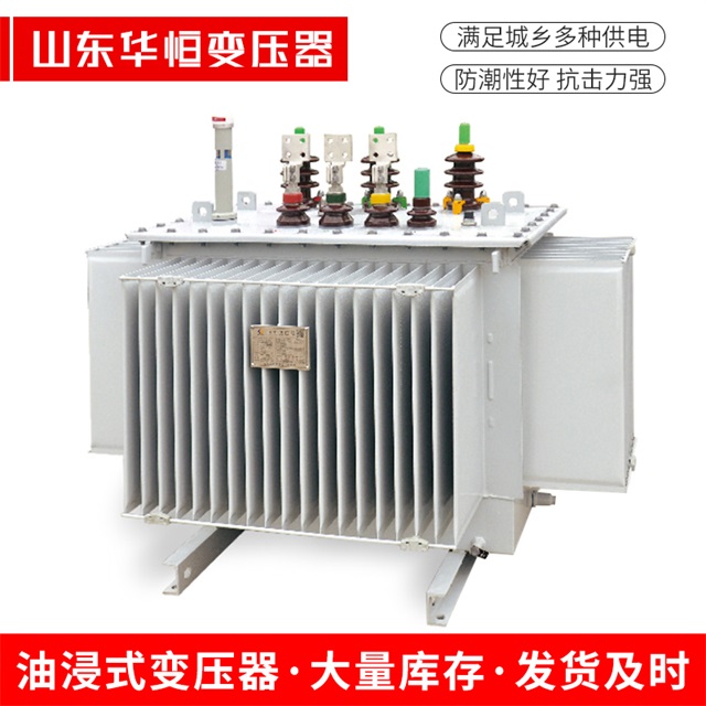 S13-10000/35阳明阳明阳明电力变压器